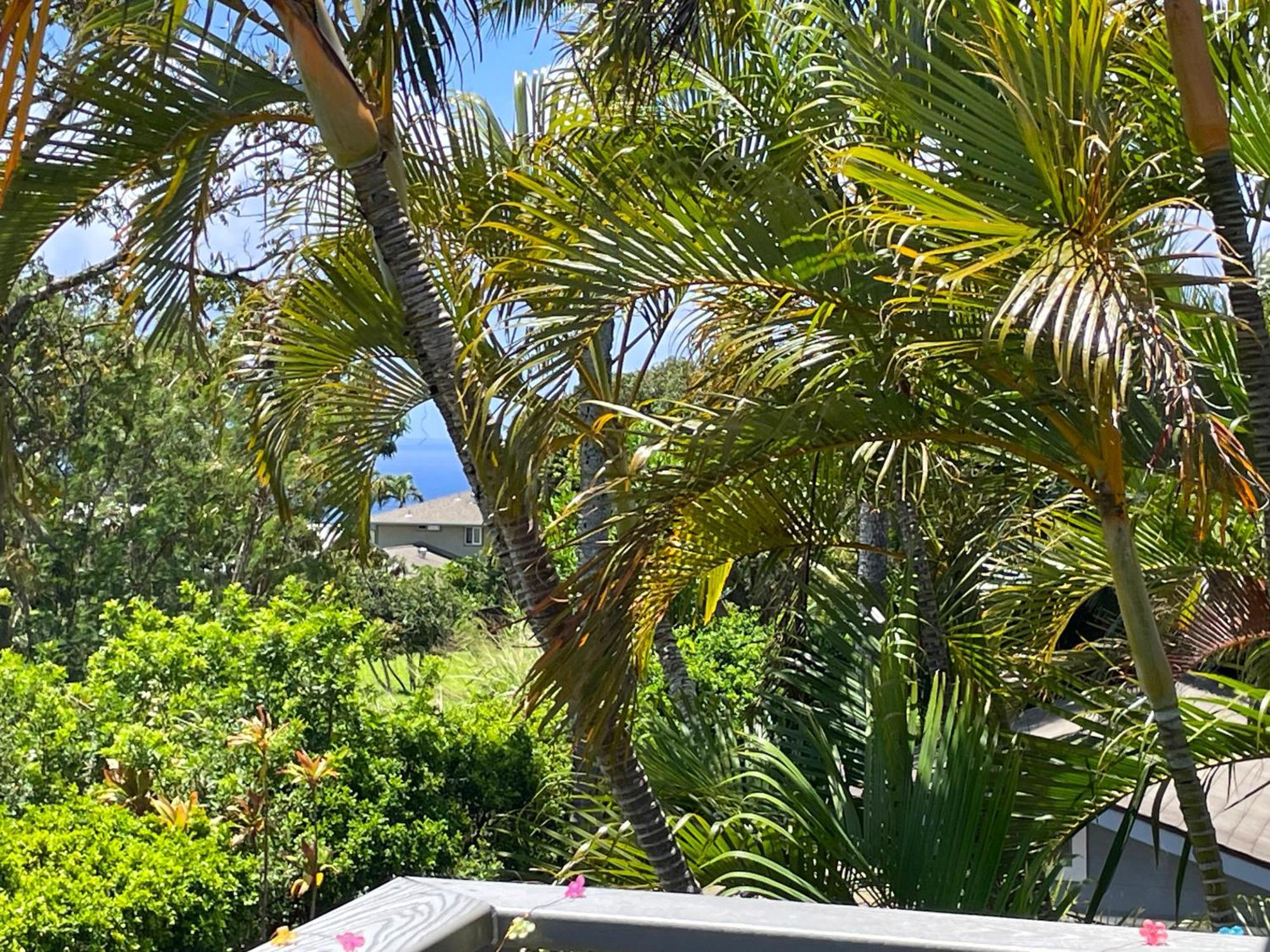 Puu Koa Palms Vacation Rental Haiku エクステリア 写真